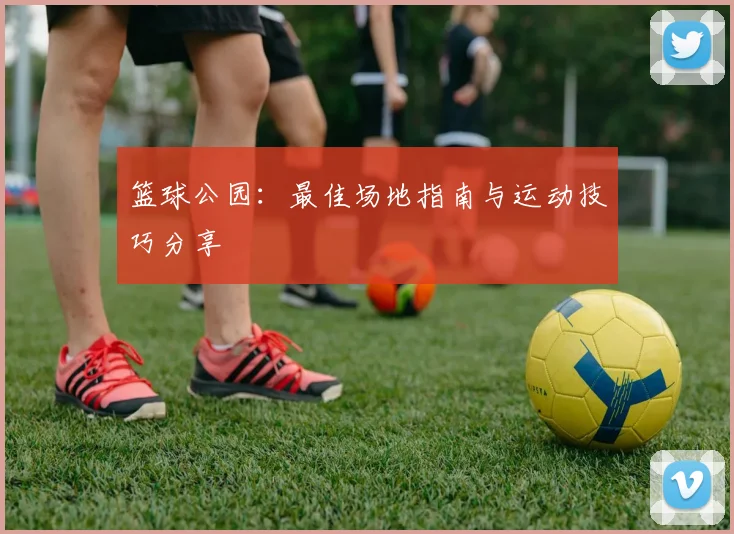 篮球公园：最佳场地指南与运动技巧分享
