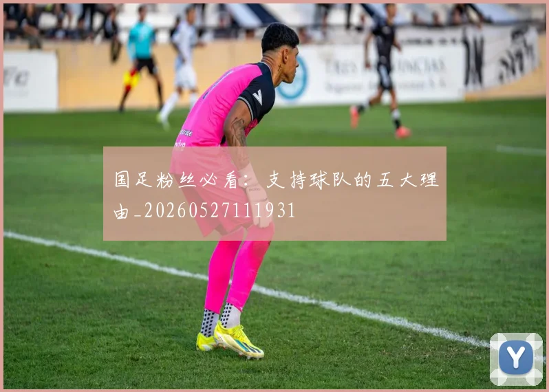 国足粉丝必看：支持球队的五大理由_20260527111931