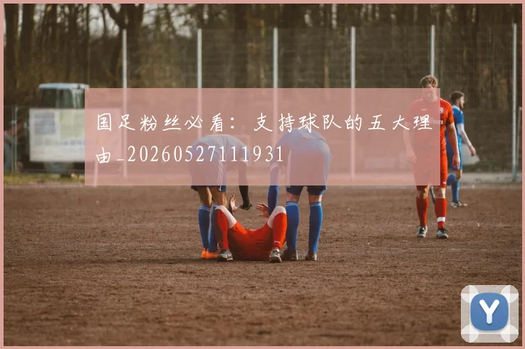国足粉丝必看:支持球队的五大理由_20260527111931