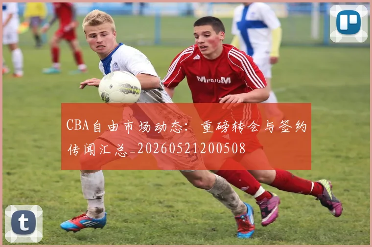 CBA自由市场动态：重磅转会与签约传闻汇总_20260521200508