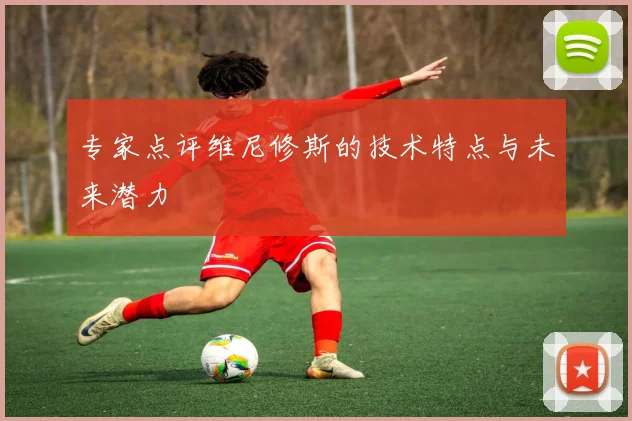 专家点评维尼修斯的技术特点与未来潜力