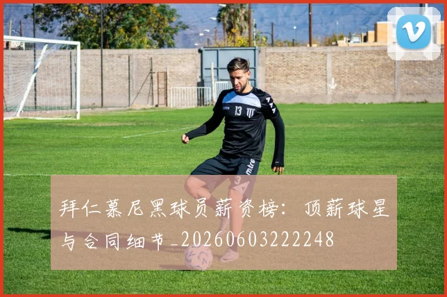 拜仁慕尼黑球员薪资榜：顶薪球星与合同细节_20260603222248