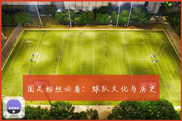 国足粉丝必看：球队文化与历史